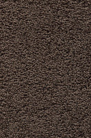 Ковролин AW Devotion 44 фото 1 | FLOORDEALER